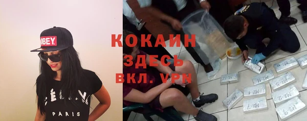 твердый Богородицк